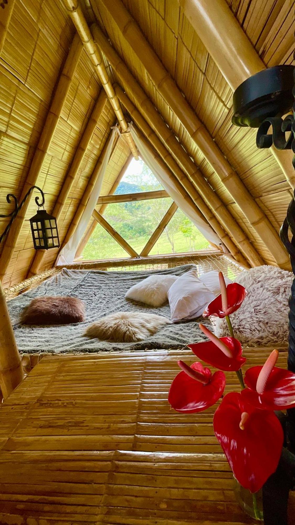 Glamping La Herradura Santa Rosa de Cabal Exteriér fotografie